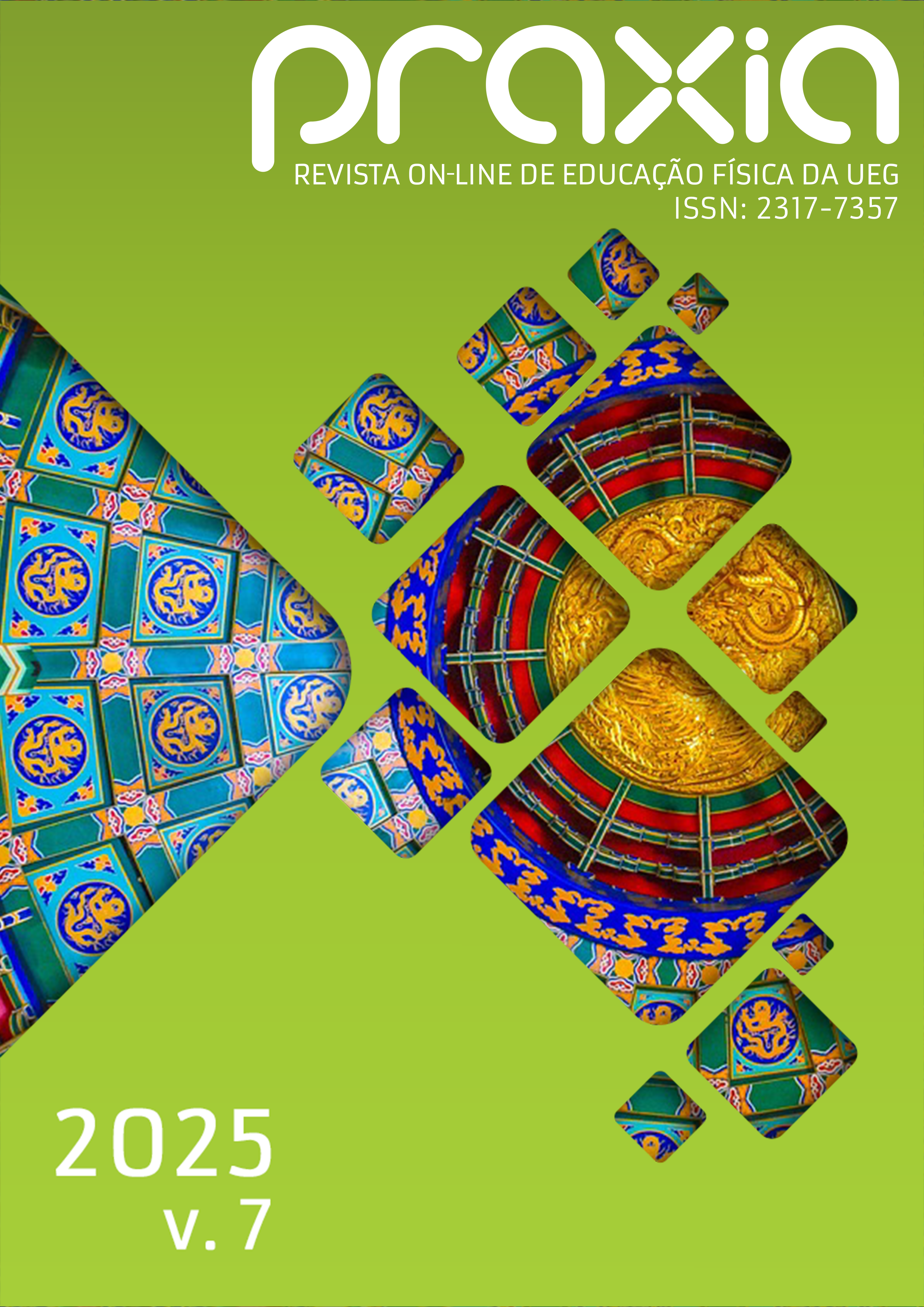 Visualizar v. 7 (2025)